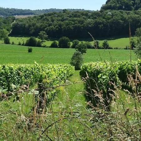 Bed & Breakfast La Maison D´amazone *