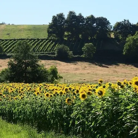 Bed & Breakfast La Maison D'amazone