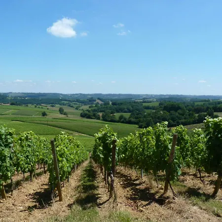 La Maison D´amazone Bed & Breakfast Mont-Disse
