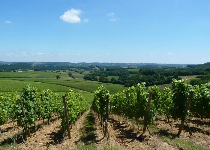 La Maison D'amazone Mont-Disse
