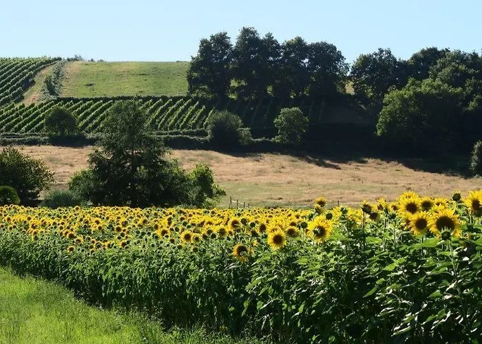 Bed & Breakfast La Maison D'amazone