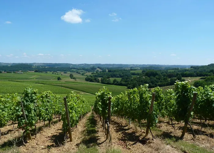 La Maison D'amazone Bed & Breakfast Mont-Disse